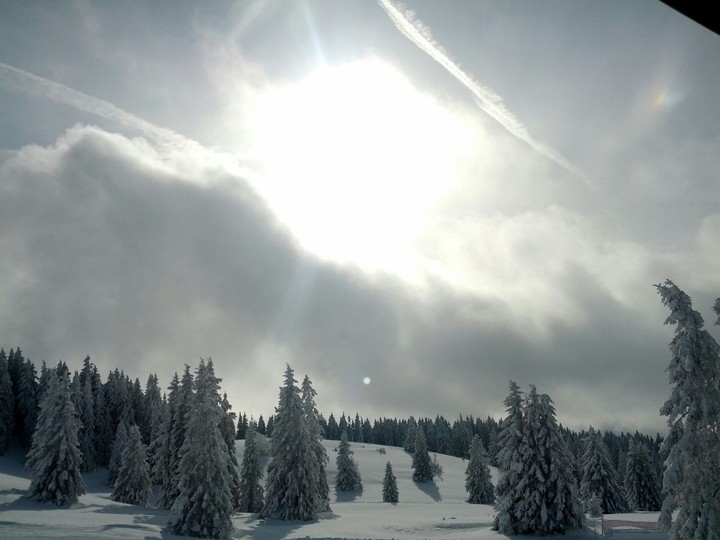 Winterwonderland