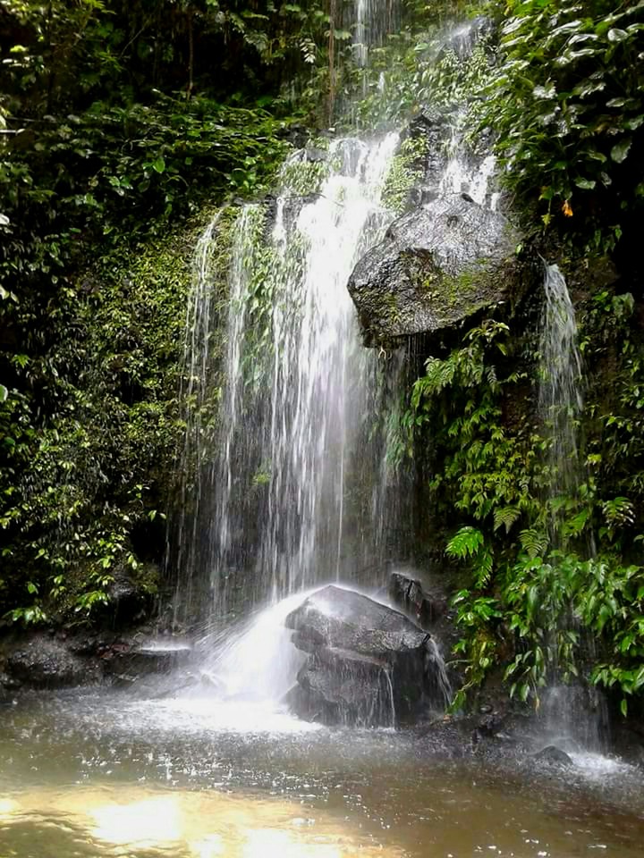 spring falls