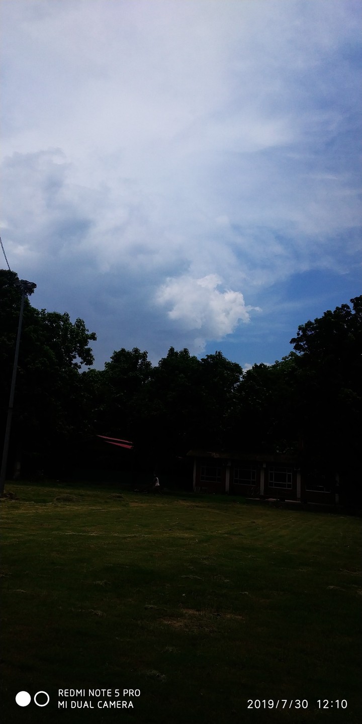 nature??