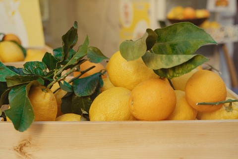 тапети grapefruit, clementine