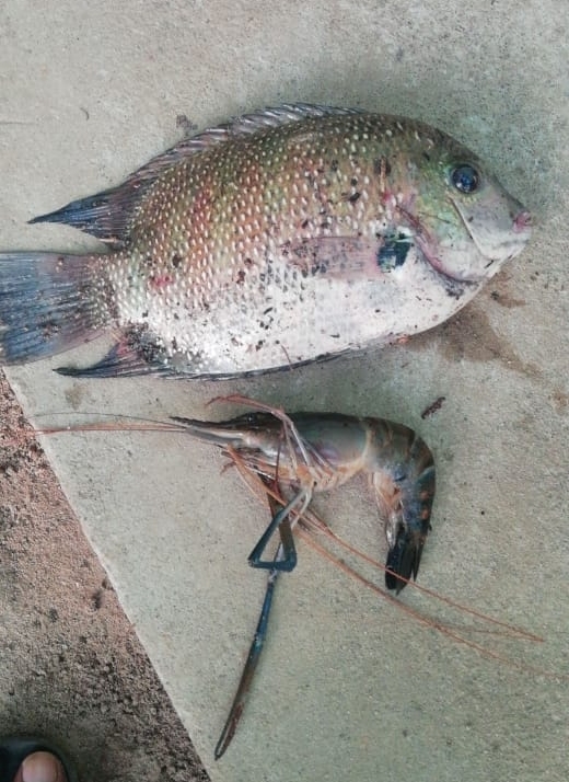 catch of the day!!