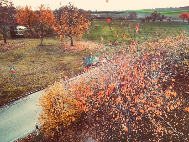 herbst