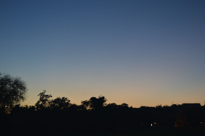 sunset in the park