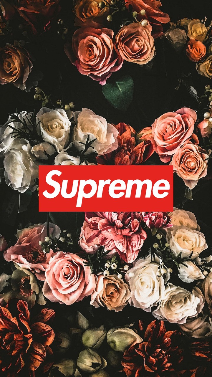 ☆SUPREME☆