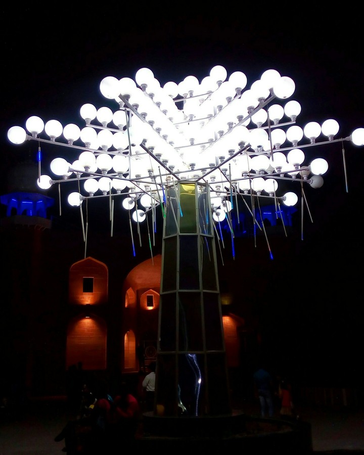 tree of shine...