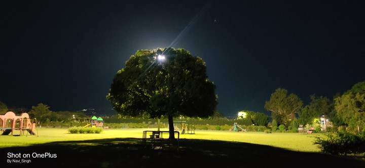 night
