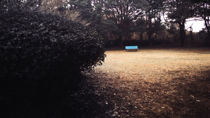 lonely bench