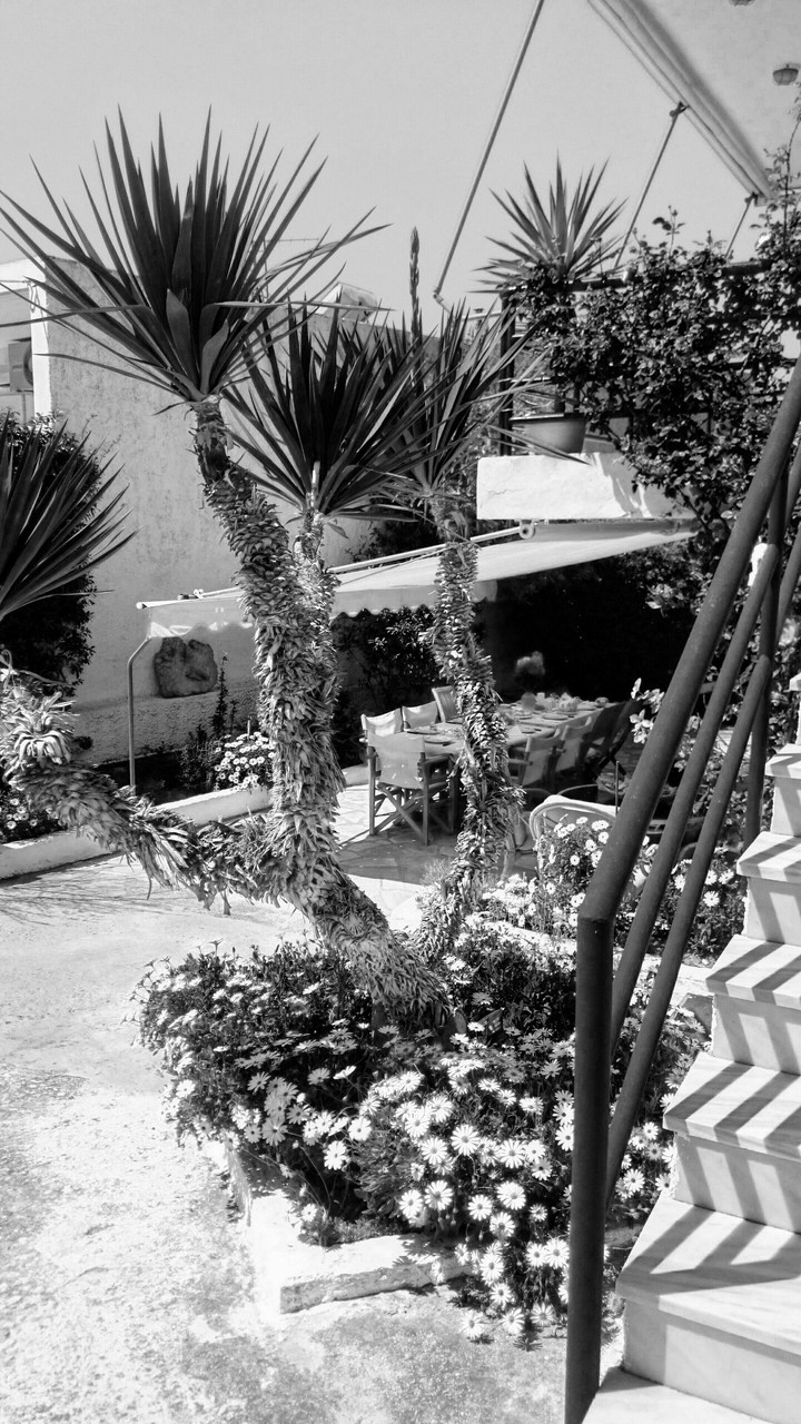 STAMATIOS