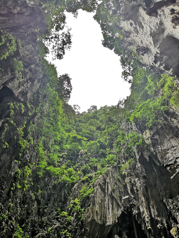 Nature