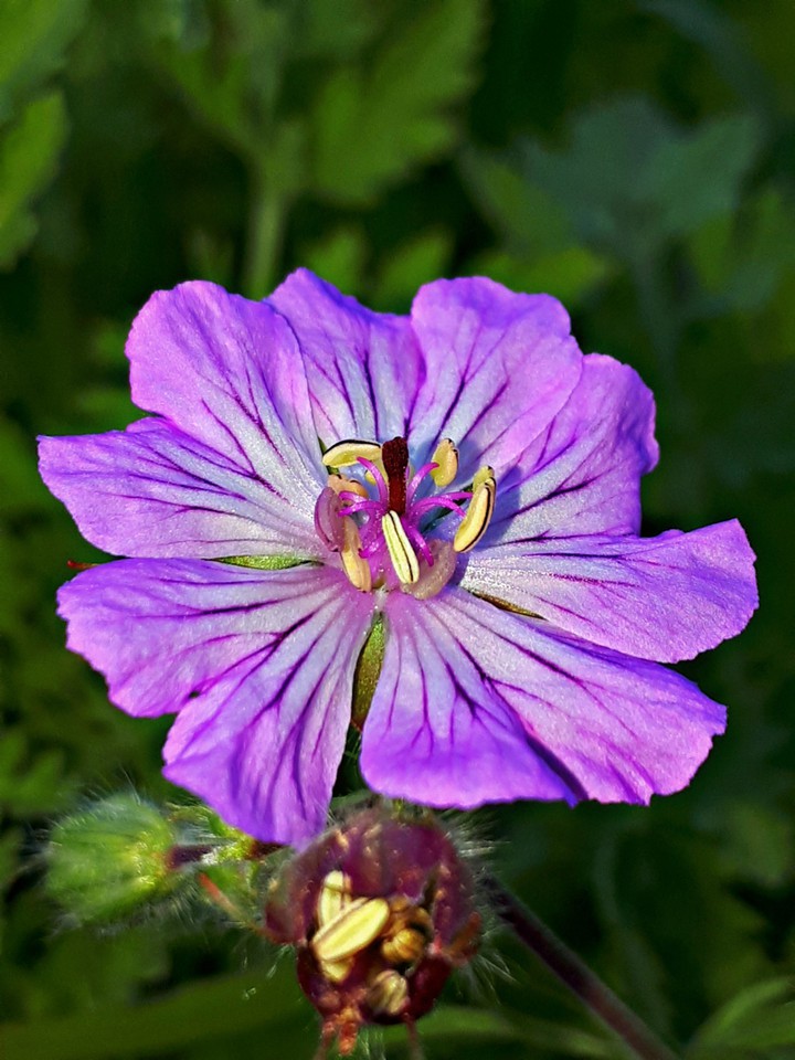 #spring