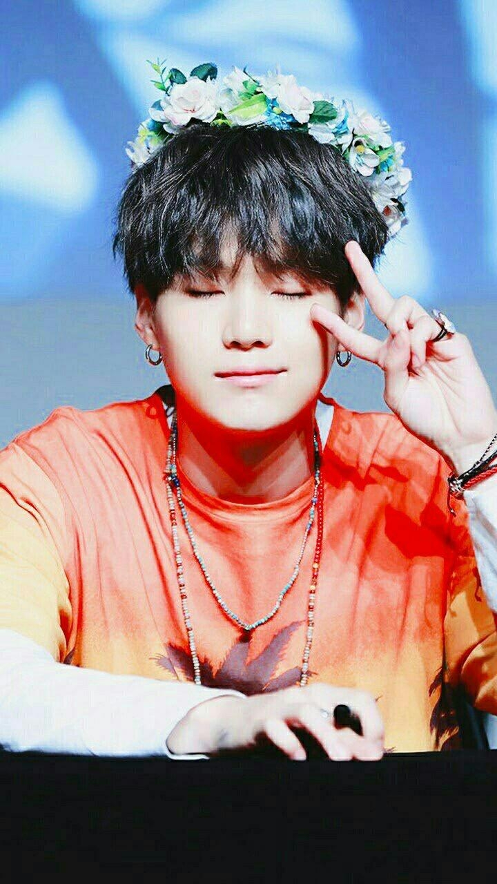 soy fan de bts