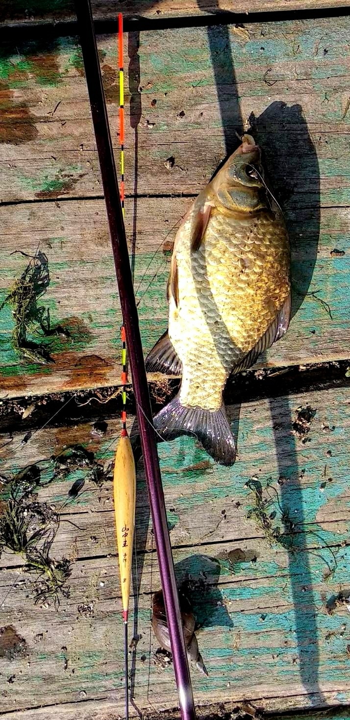 Fishing