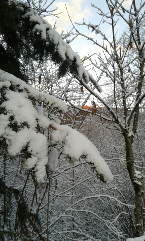 Snowy day
