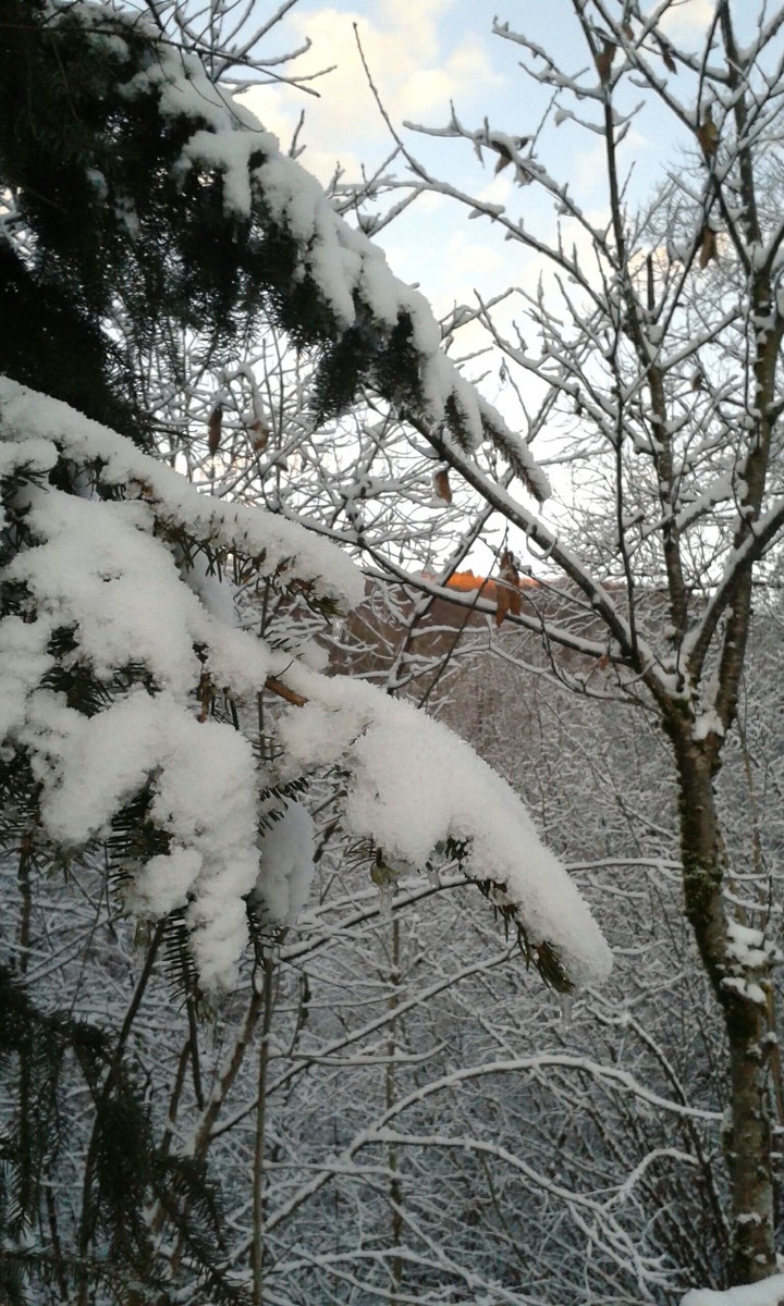 Snowy day