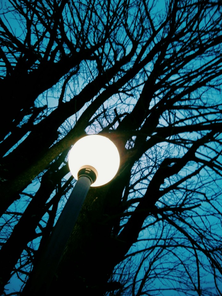 Evening