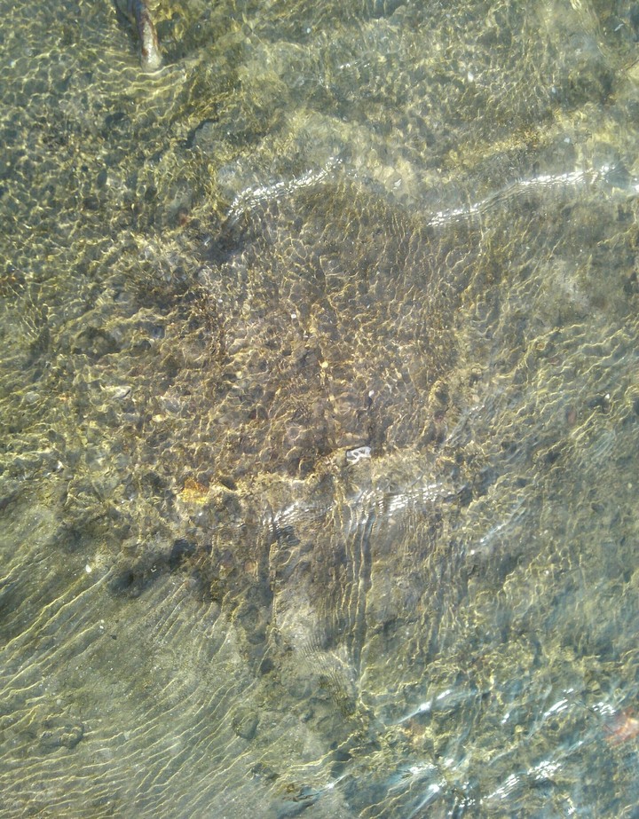 water patterns​