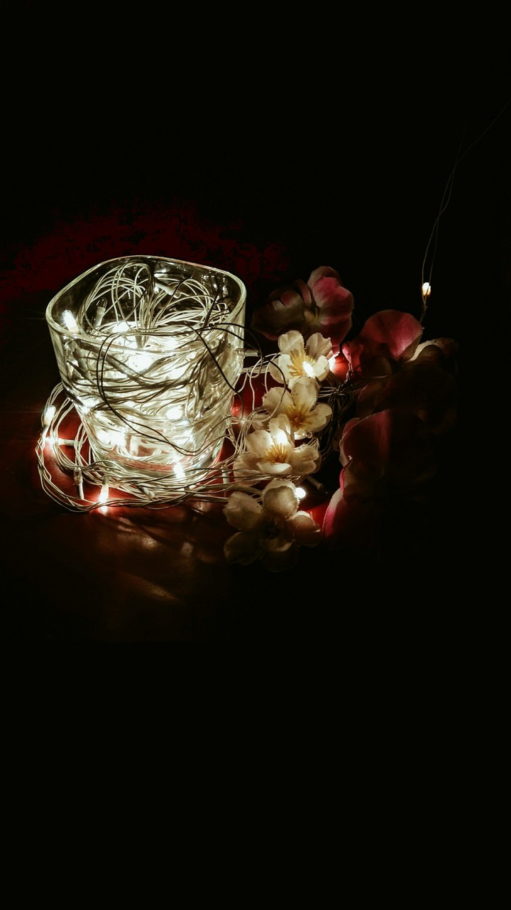Lights n flowers