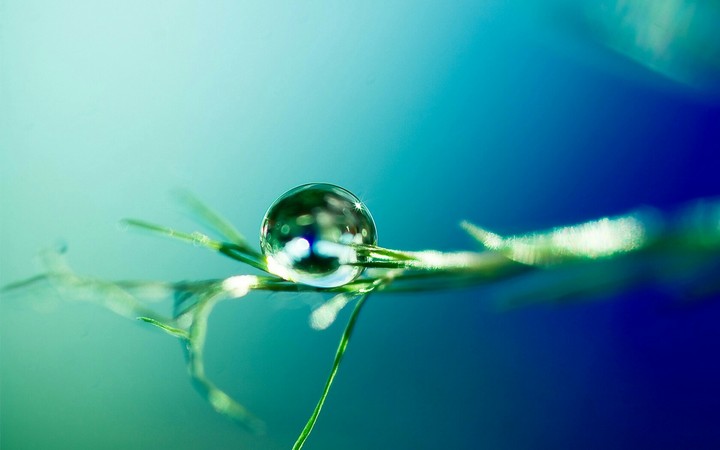 water droplet