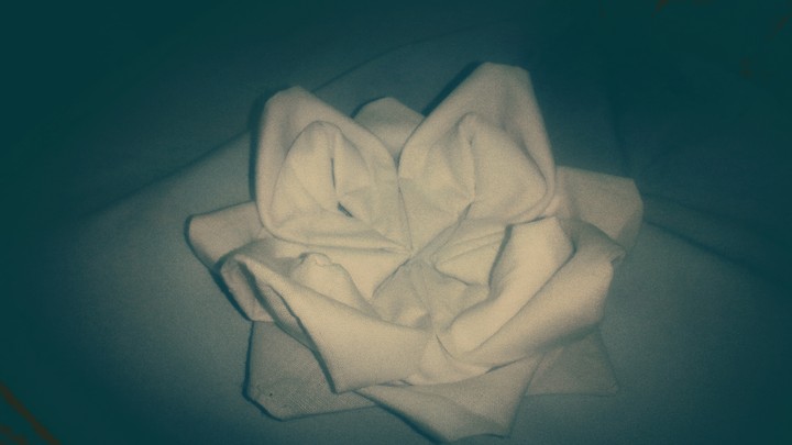 cotton lotus