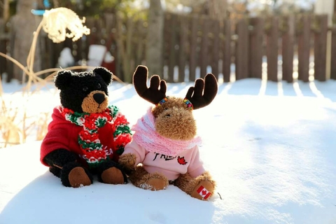 A cold winter's day