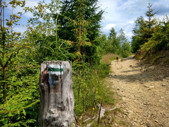 green way