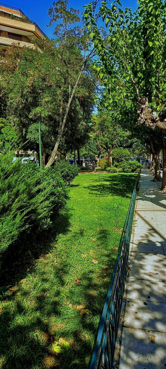 vegetation, Athens Hintergrundbilder