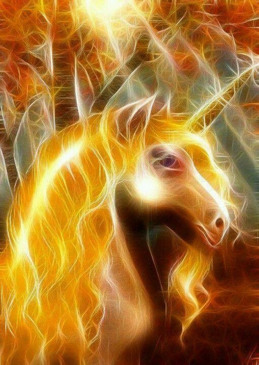 unicorn