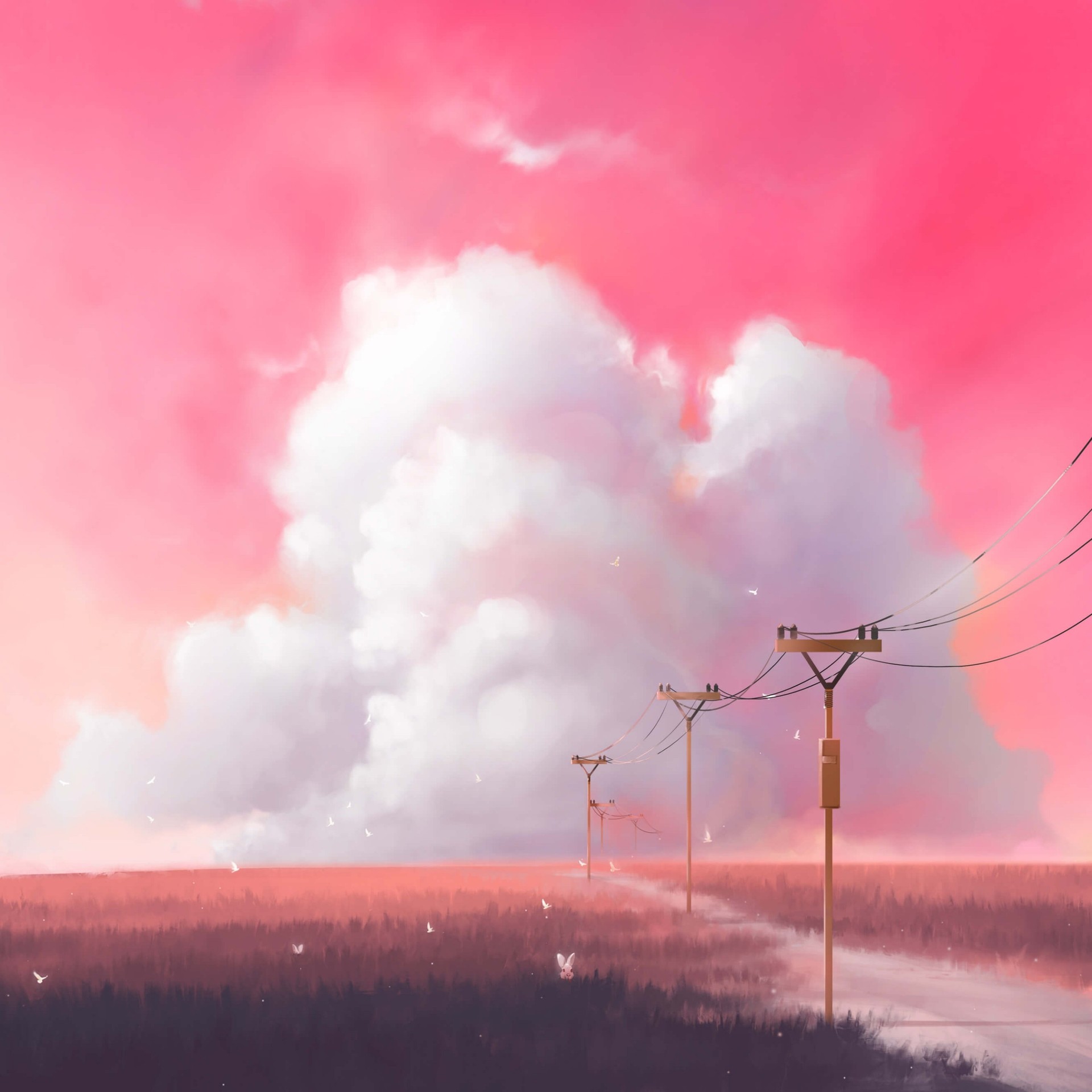 pink sky✔