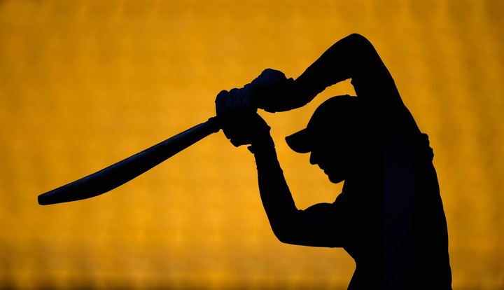 cricket lovers