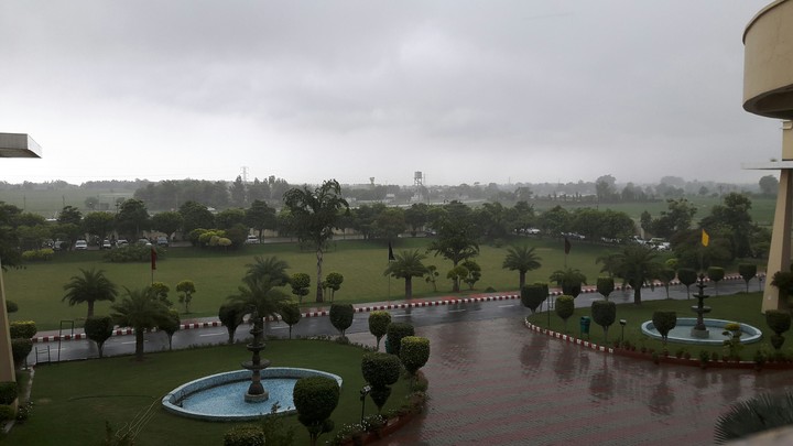 Rain and natural beauty