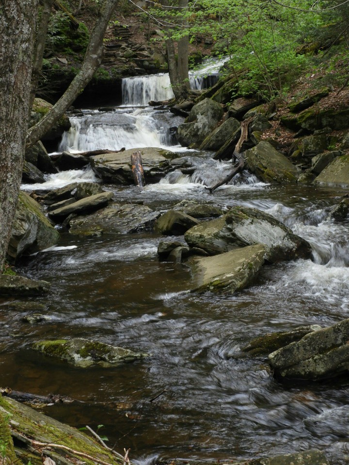 Stream