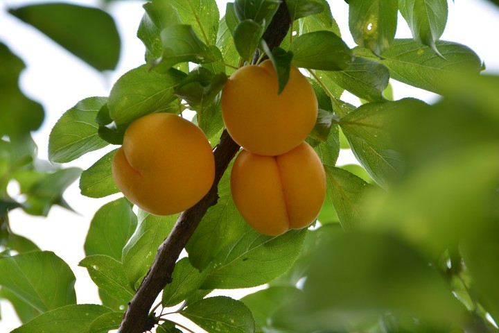 용마산이미지