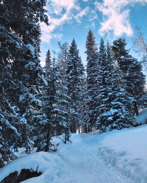 winter