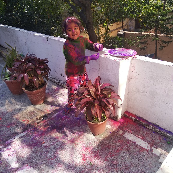 A festival of colors ..... HOLI ❤️??????♥️???