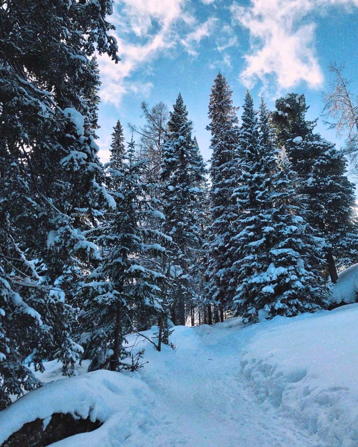 winter