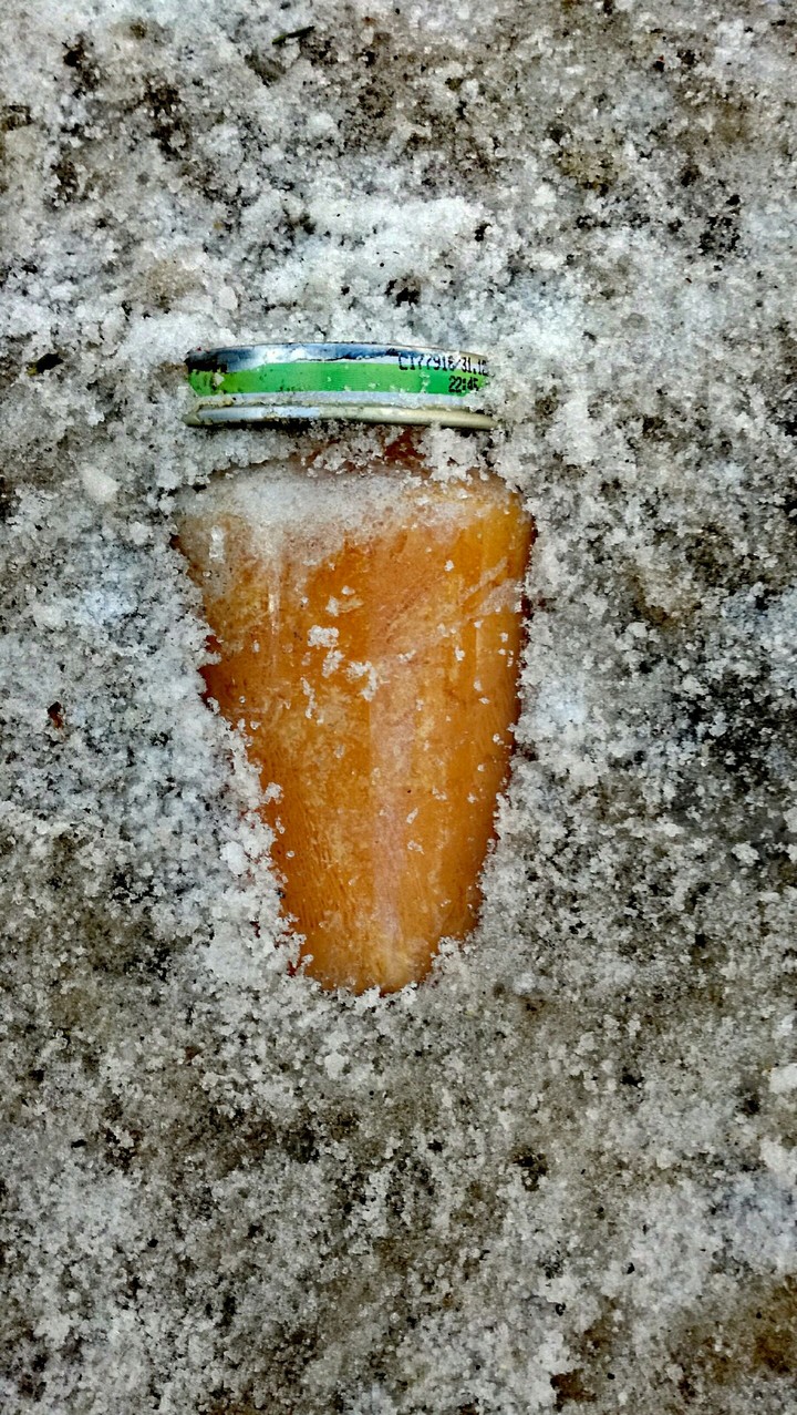 Frozen in the ice