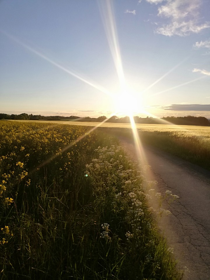 Frühling