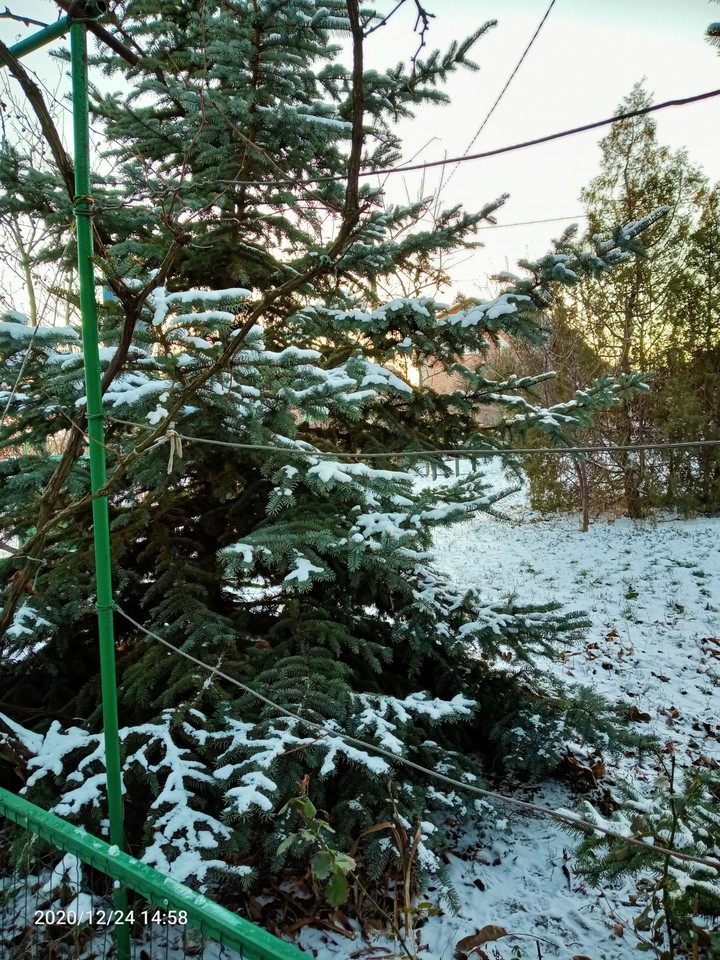 winter's day