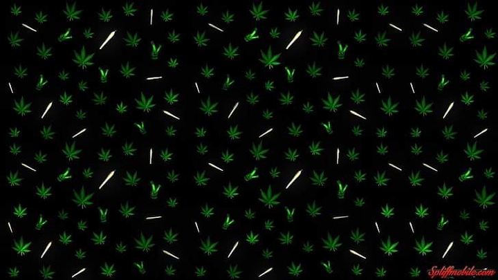 weed