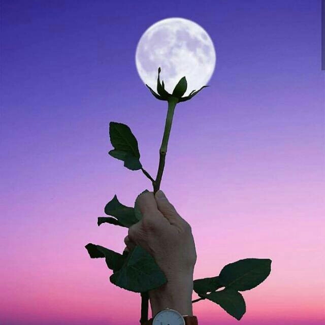 moon