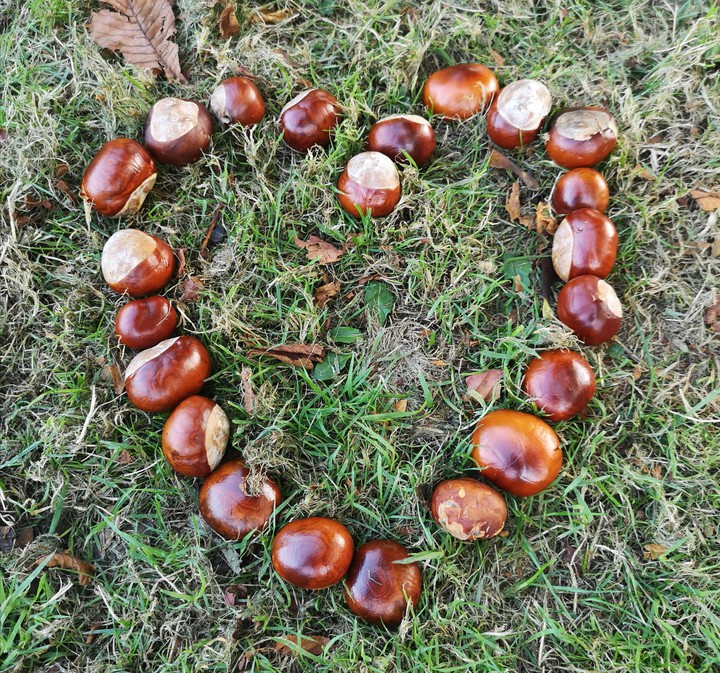 Love conkers