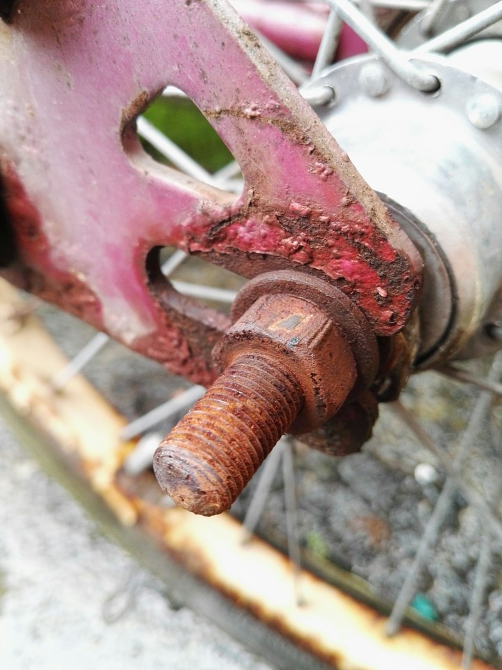 old screw
