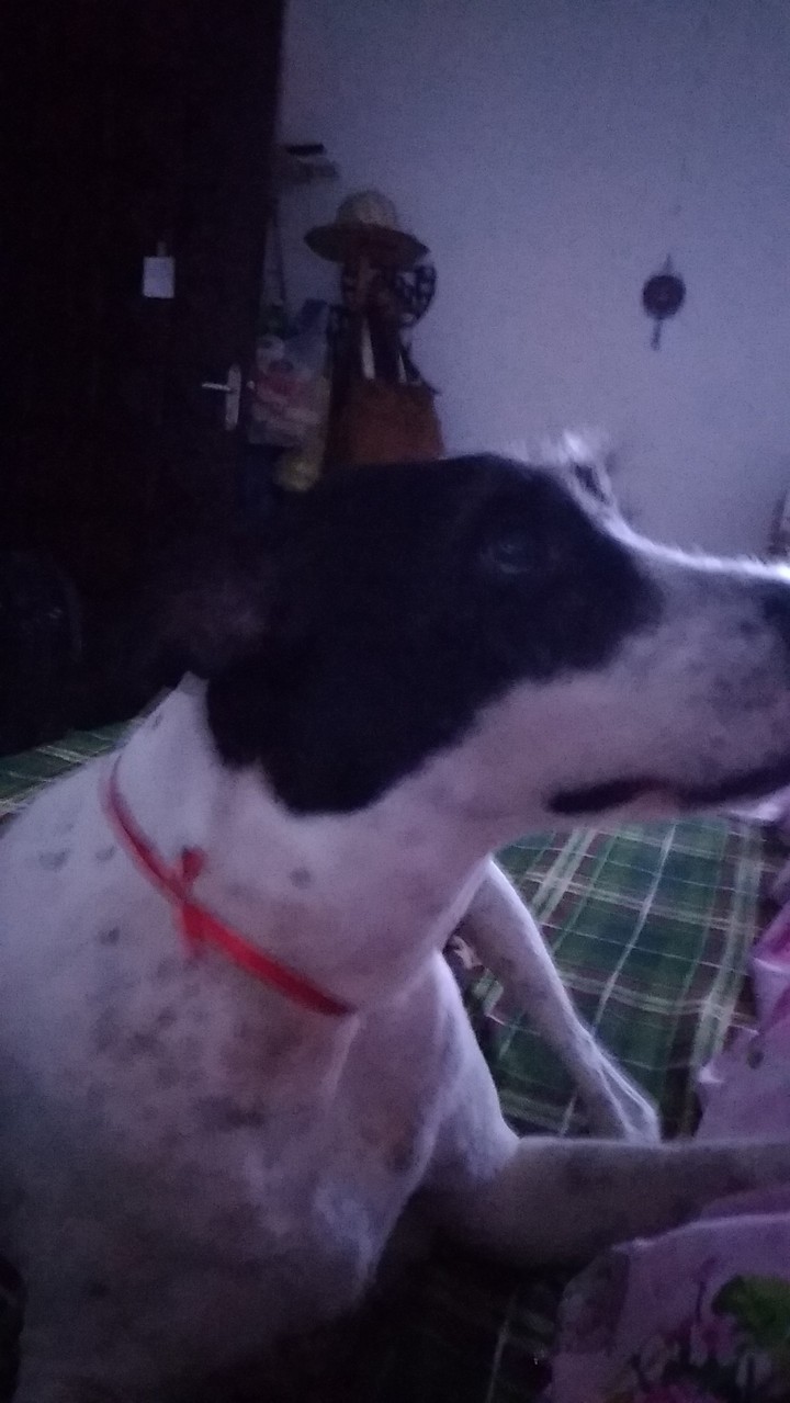 ♥️♥️