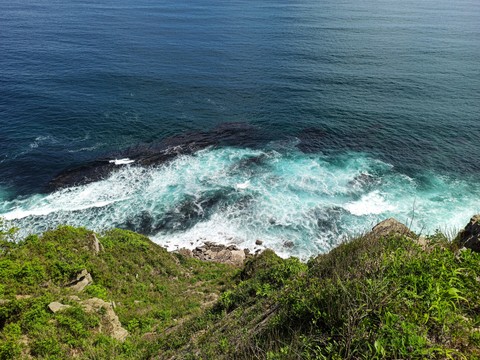 landscape, vegetation wallpapers