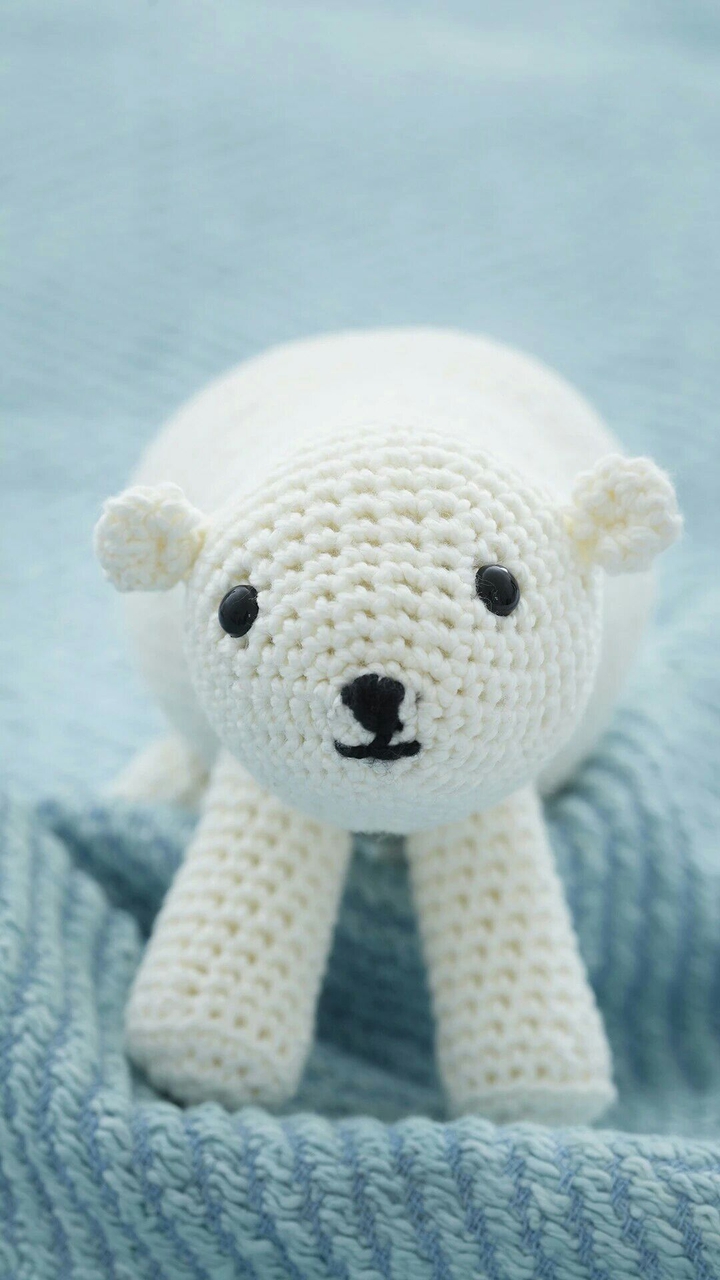 sweet poler bear