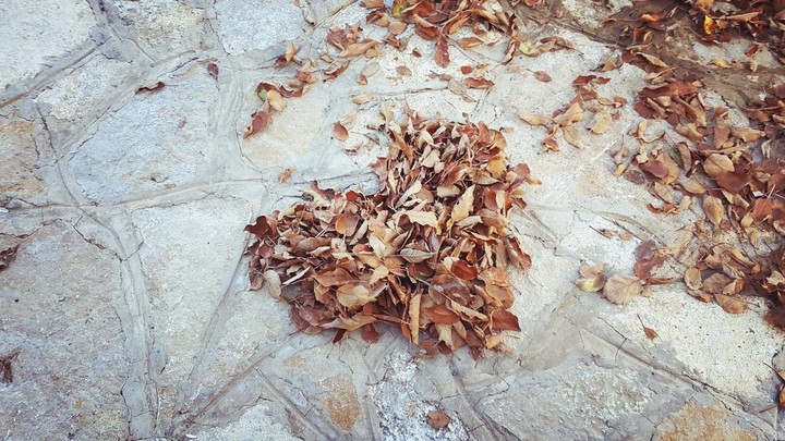 fall