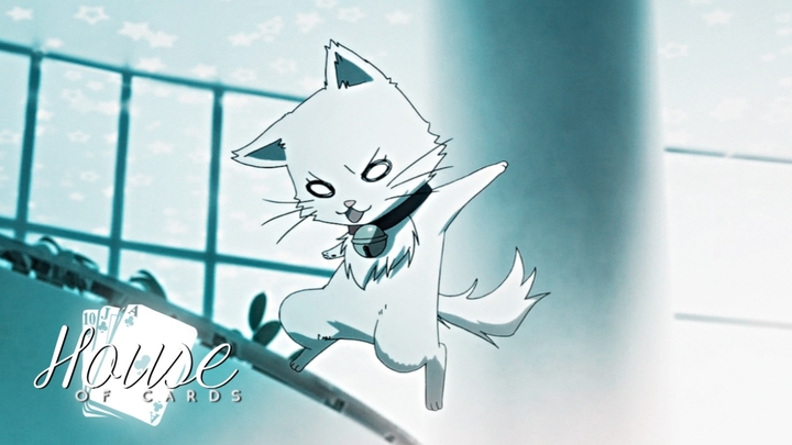 neko