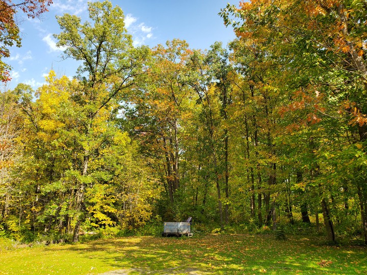 fall colors