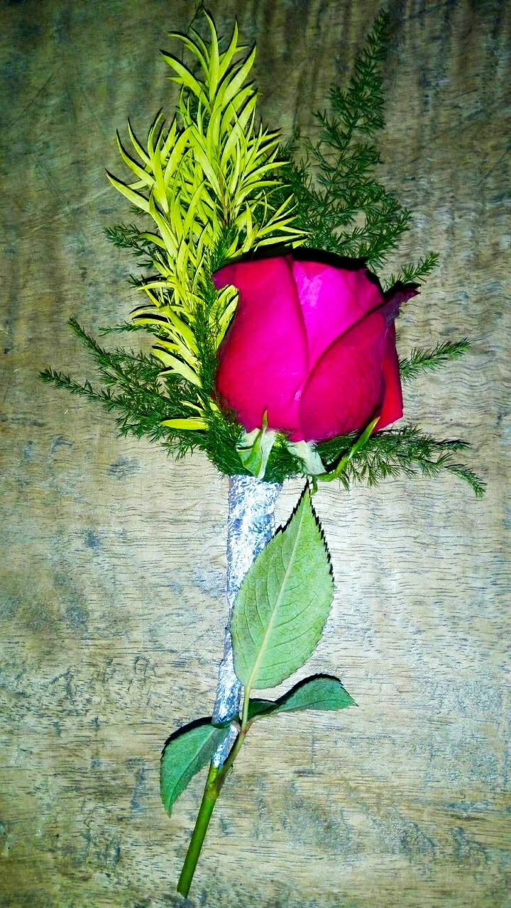 Rose Gift