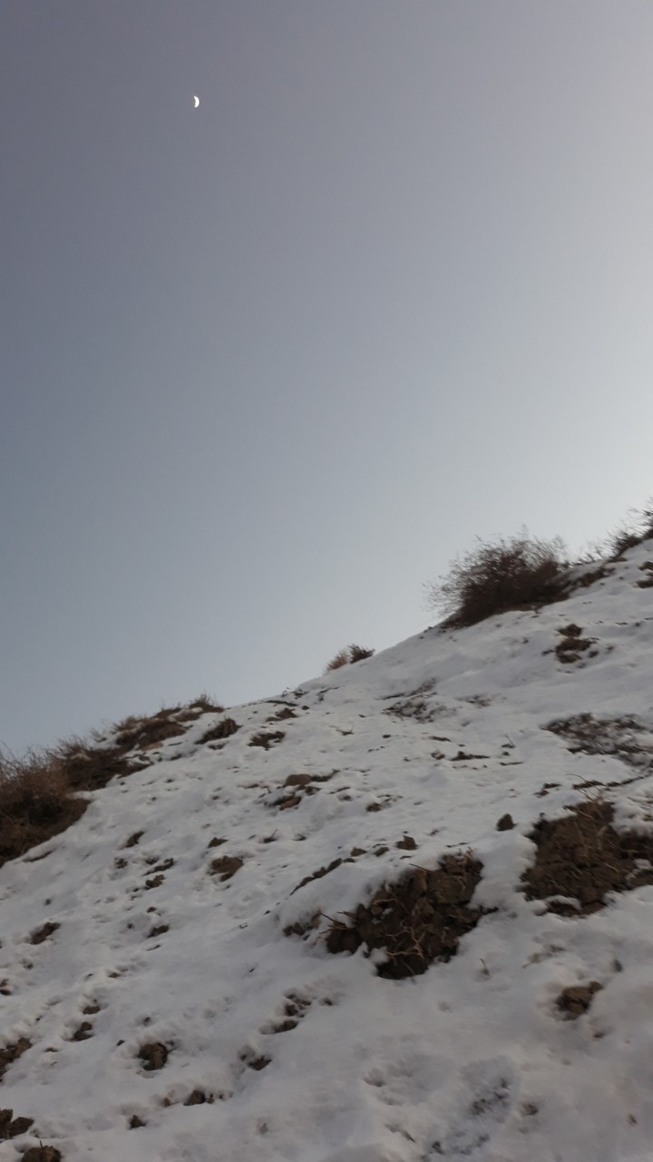 snow